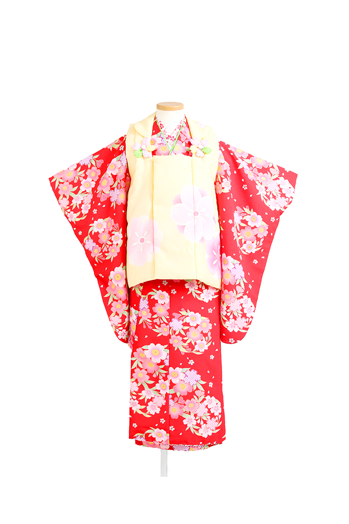 黄色/赤花丸